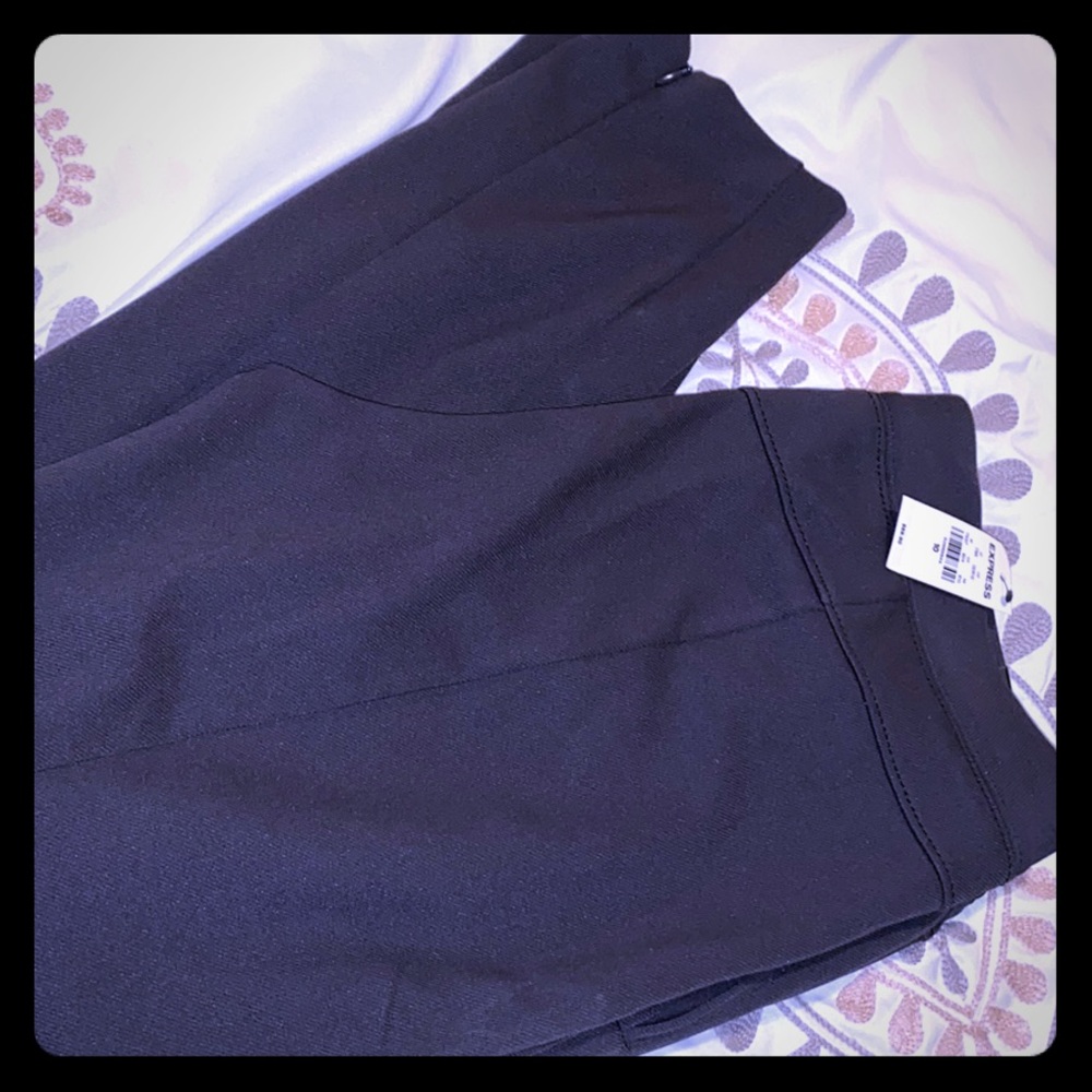 NWT Grey Express Pants